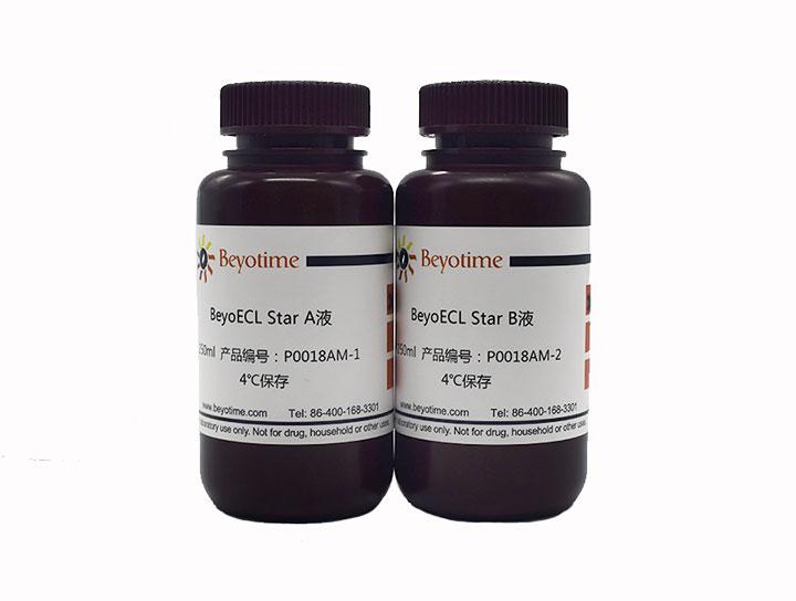 BeyoECL Star (特超敏ECL化学发光试剂盒)